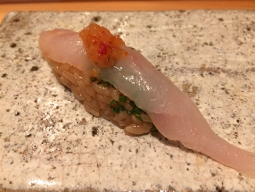 Japanese pufferfish (Fugu)