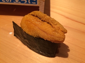 Short-spined sea urchin (Bafun uni)